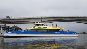 brisbane city cat side view